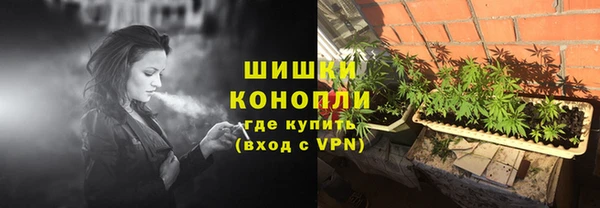 прущие грибы Краснослободск