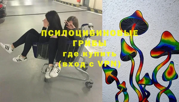 прущие грибы Краснослободск