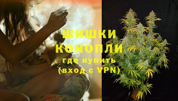 прущие грибы Краснослободск