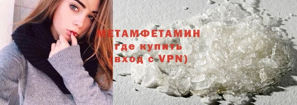 прущие грибы Краснослободск