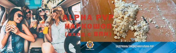 прущие грибы Краснослободск