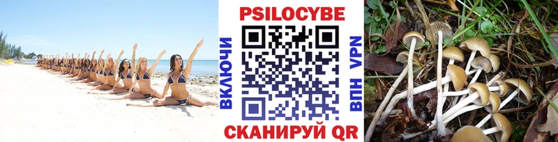 Галлюциногенные грибы ЛСД  где продают наркотики  Мирный 
